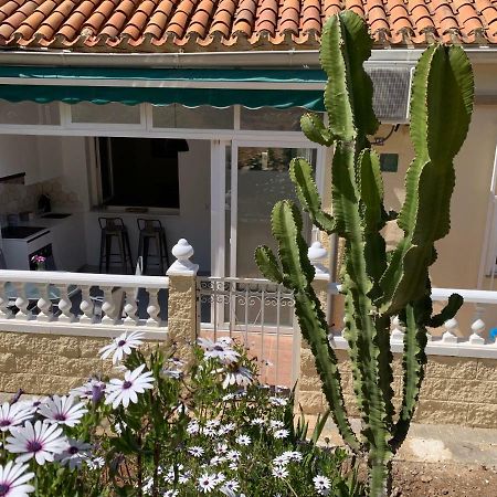 La Siesta Διαμέρισμα Μπένιντορμ Εξωτερικό φωτογραφία